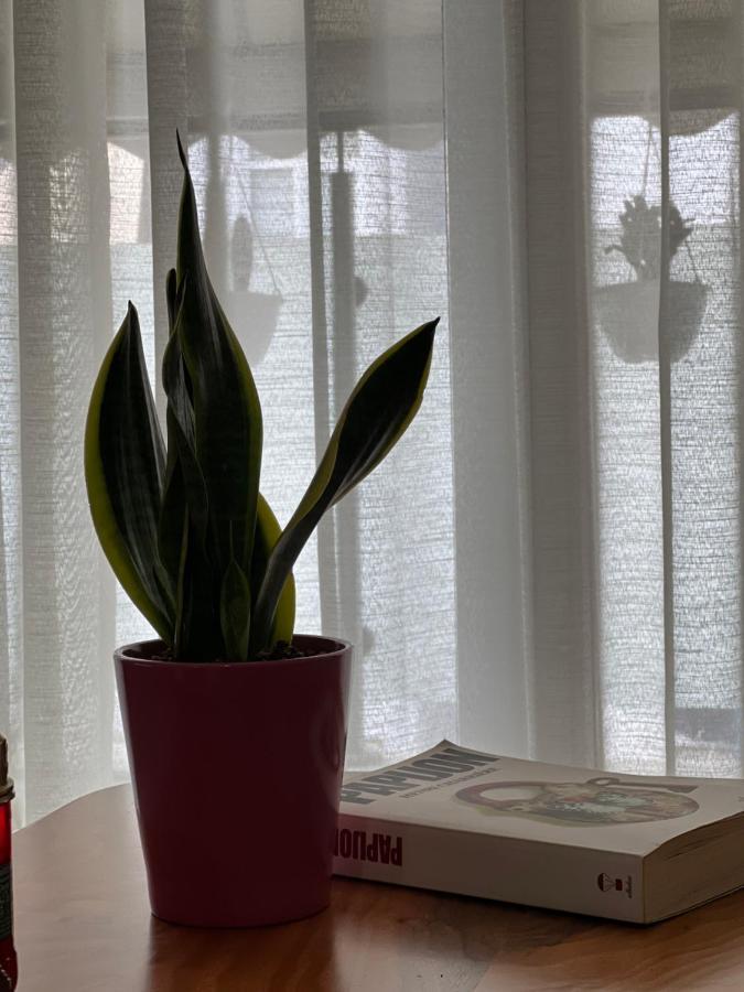Apartament Olive Tirana
