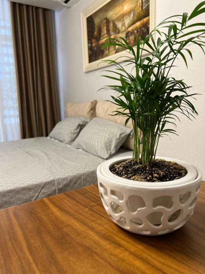 Olive Apartament