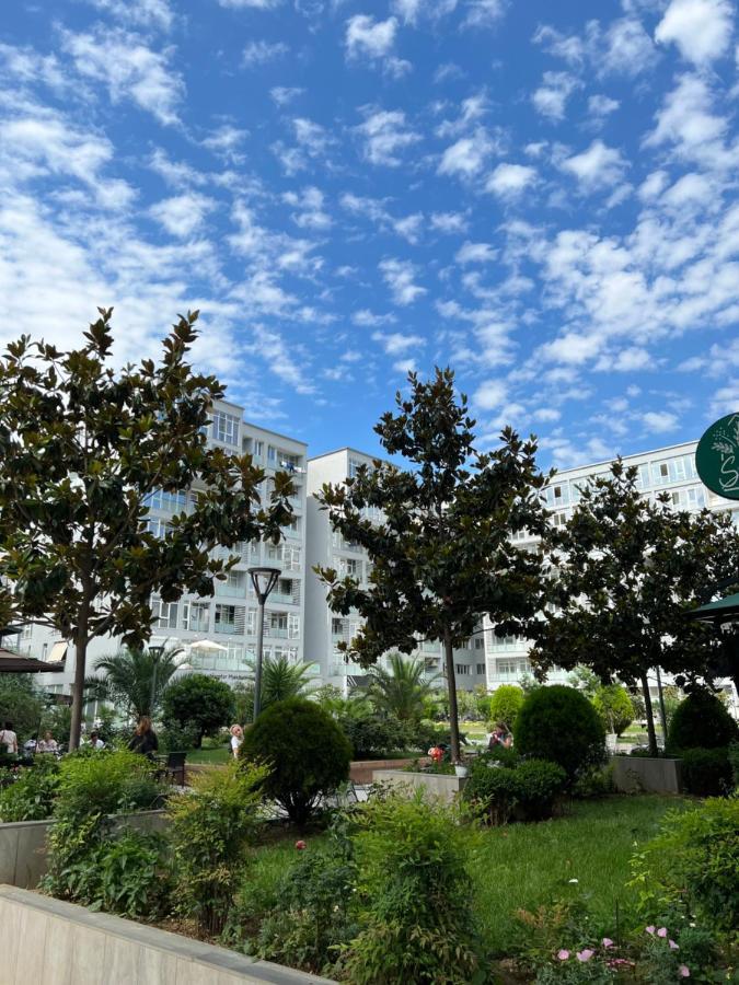 Apartament Olive